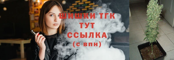 молекула духа Костерёво
