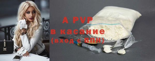 спиды Корсаков