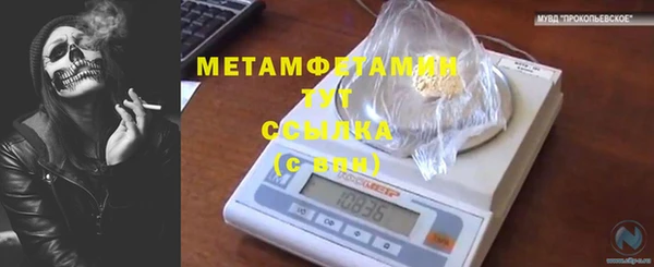 молекула духа Костерёво