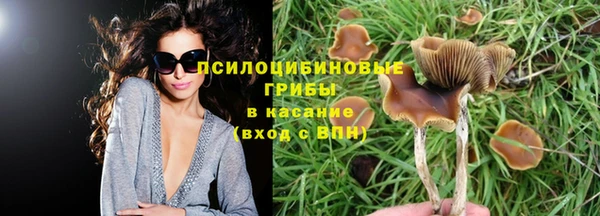 молекула духа Костерёво