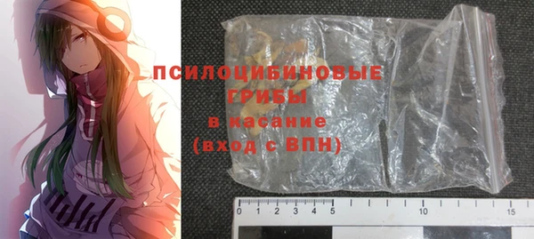 молекула духа Костерёво