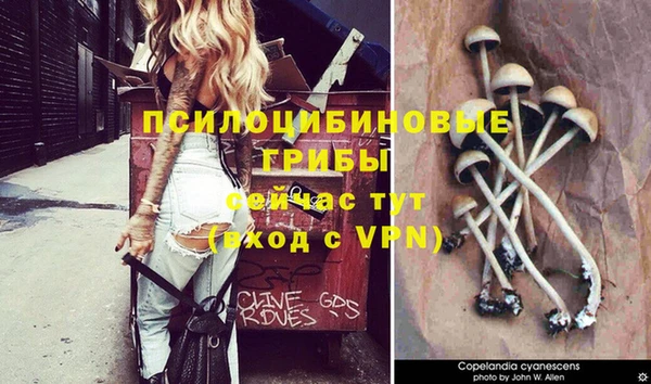 молекула духа Костерёво