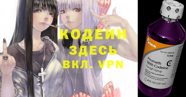 молекула духа Костерёво