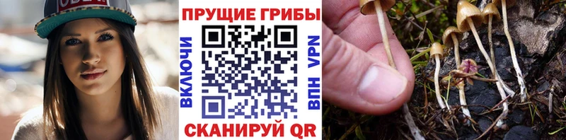 Галлюциногенные грибы мухоморы  что такое наркотик  Кочубеевское 